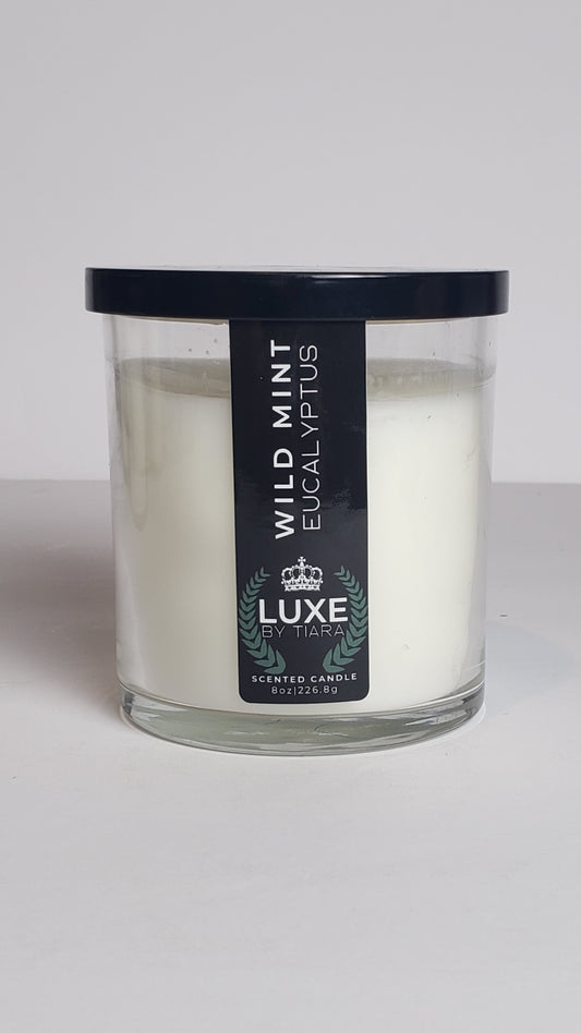 Wild Mint & Eucalyptus 8oz candle