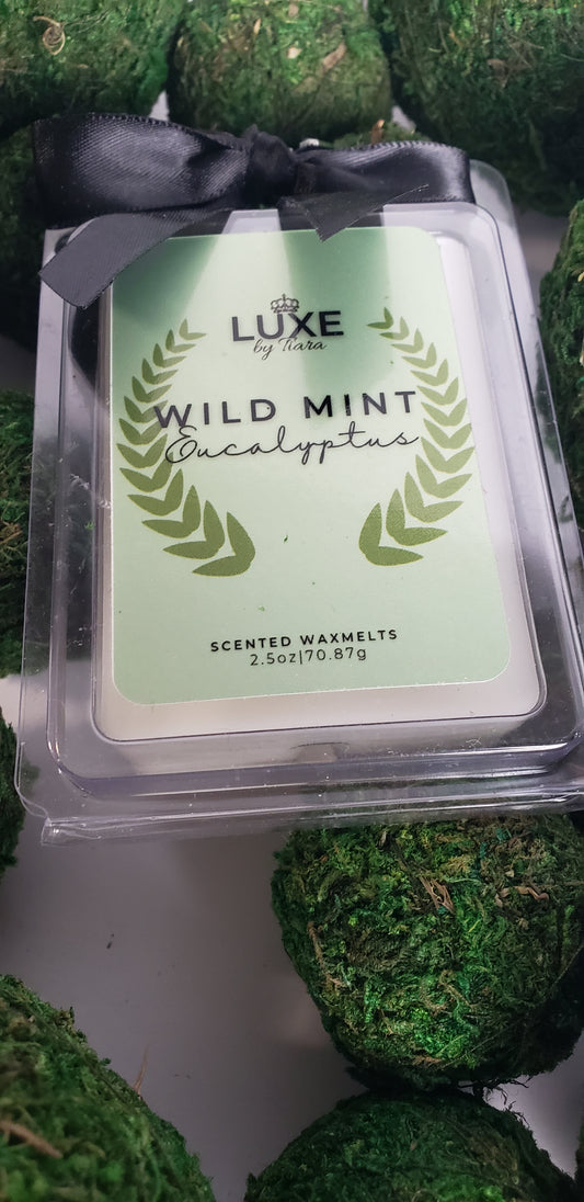 Wild Mint & Eucalyptus candle