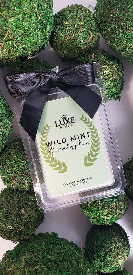 Wild Mint & Eucalyptus candle